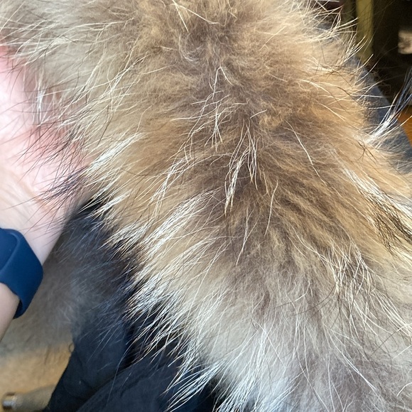 London fog black removable liner hooded coat. - Picture 7 of 15